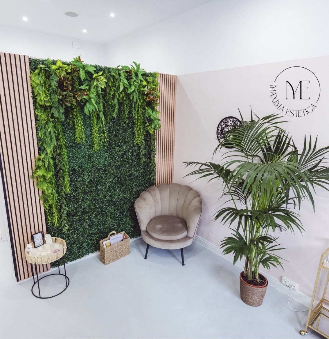 Rincón del centro con la pared vegetal, el sillón y una palmera.